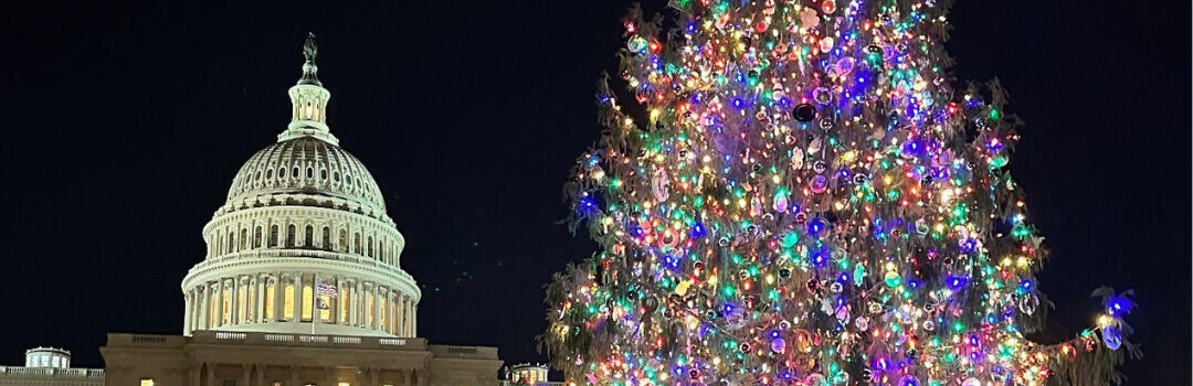 Annual Holiday Lights Run